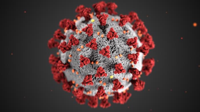 image of coronavirus