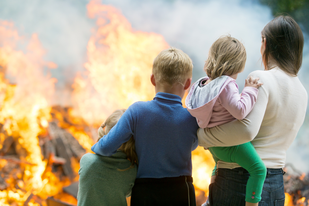 Wildfire Family