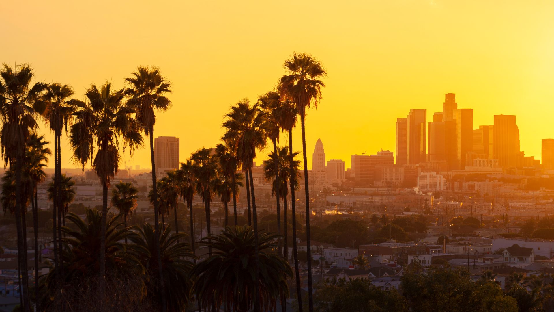 Evening golden hour of the los angeles skyline