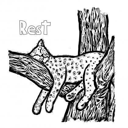 cat resting on tree 