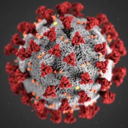 image of coronavirus