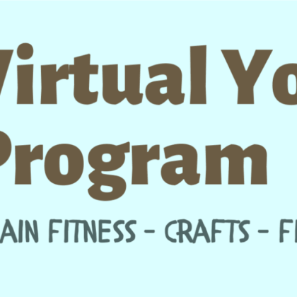 Virtual Youth Program