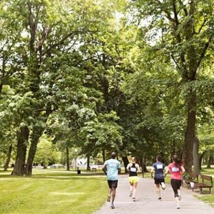 People running in the park