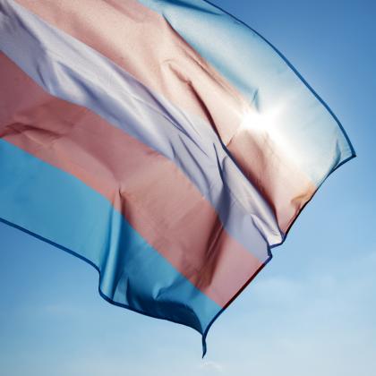 Transgender Flag Pink White and Light Blue Waving in the Sky 