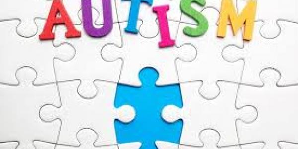 Autism puzzle 