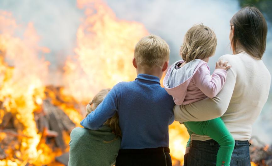 WILDFIRE FAMILY